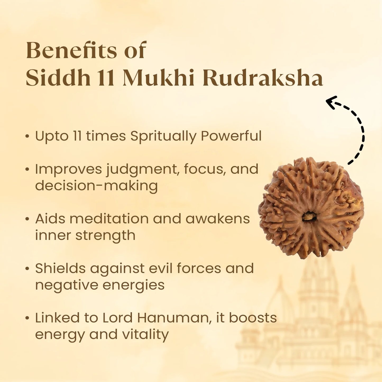 Kashi Siddh Nepal Origin 11 Mukhi Rudraksha - 18mm - 22mm