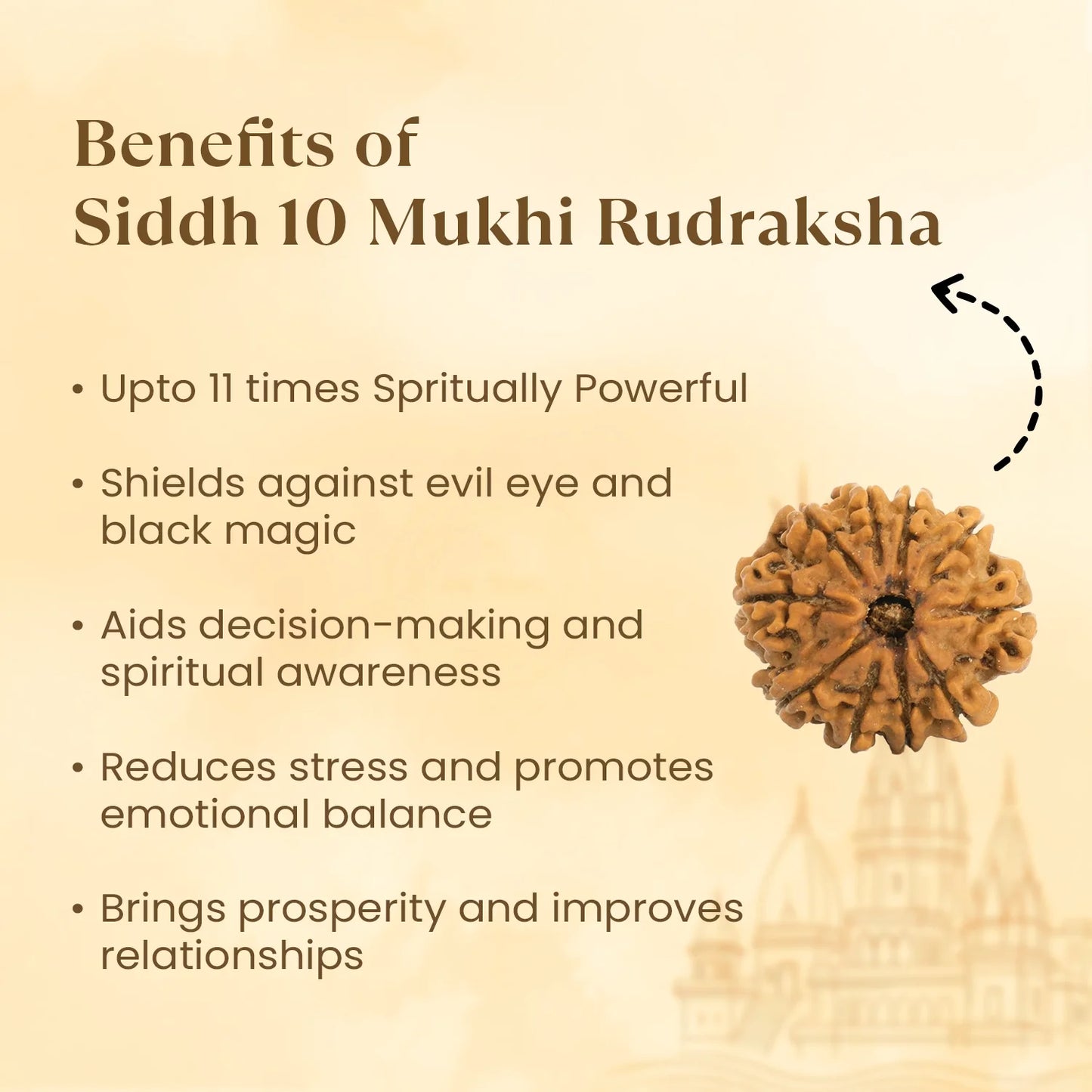 Kashi Siddh Nepal Origin 10 Mukhi Rudraksha - 18mm - 22mm