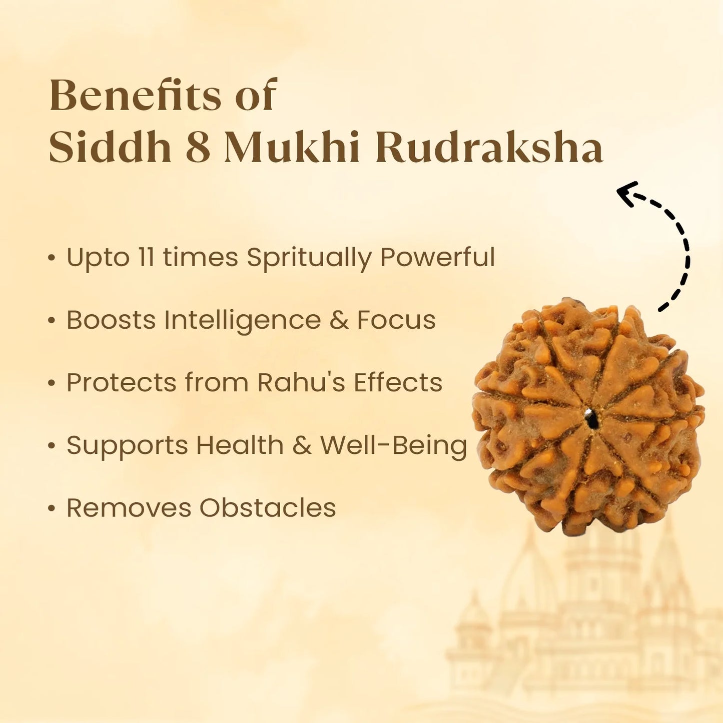 Kashi Siddh Nepal Origin 8 Mukhi Rudraksha - 18mm - 22mm