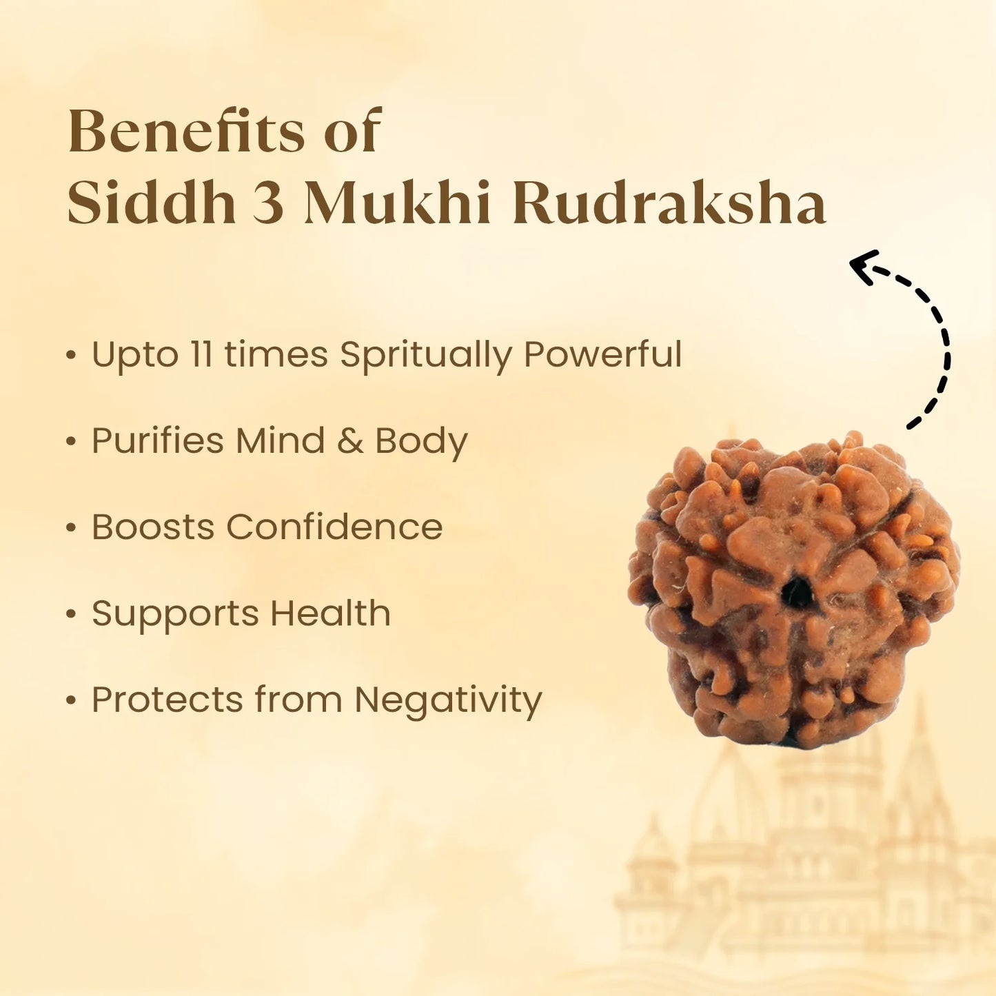 Kashi Siddh Nepal Origin 3 Mukhi Rudraksha - 18mm - 22mm