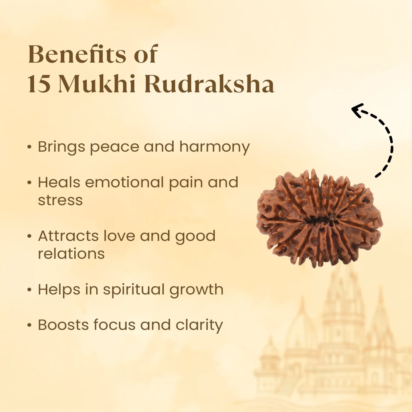 Nepal Origin 15 Mukhi Rudraksha - 18mm - 22mm