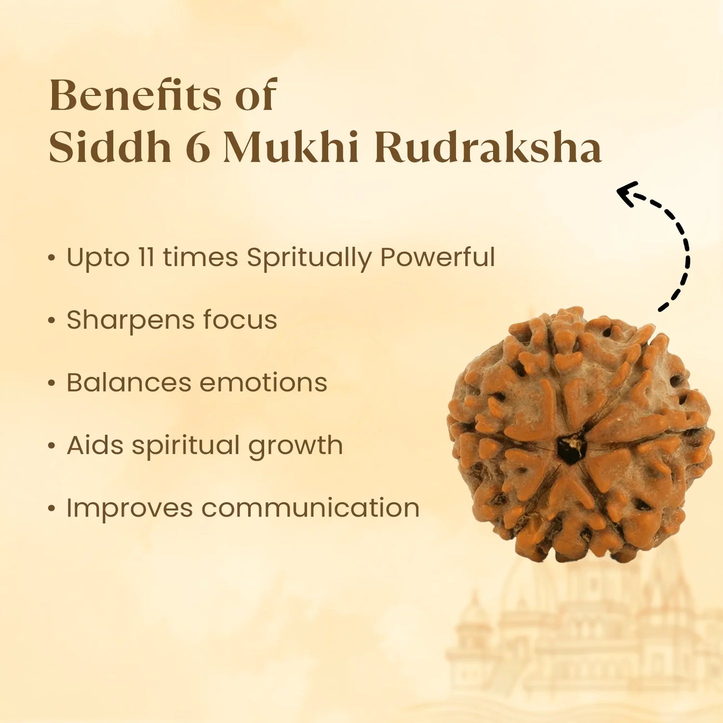 Kashi Siddh Nepal Origin 6 Mukhi Rudraksha - 18mm - 22mm