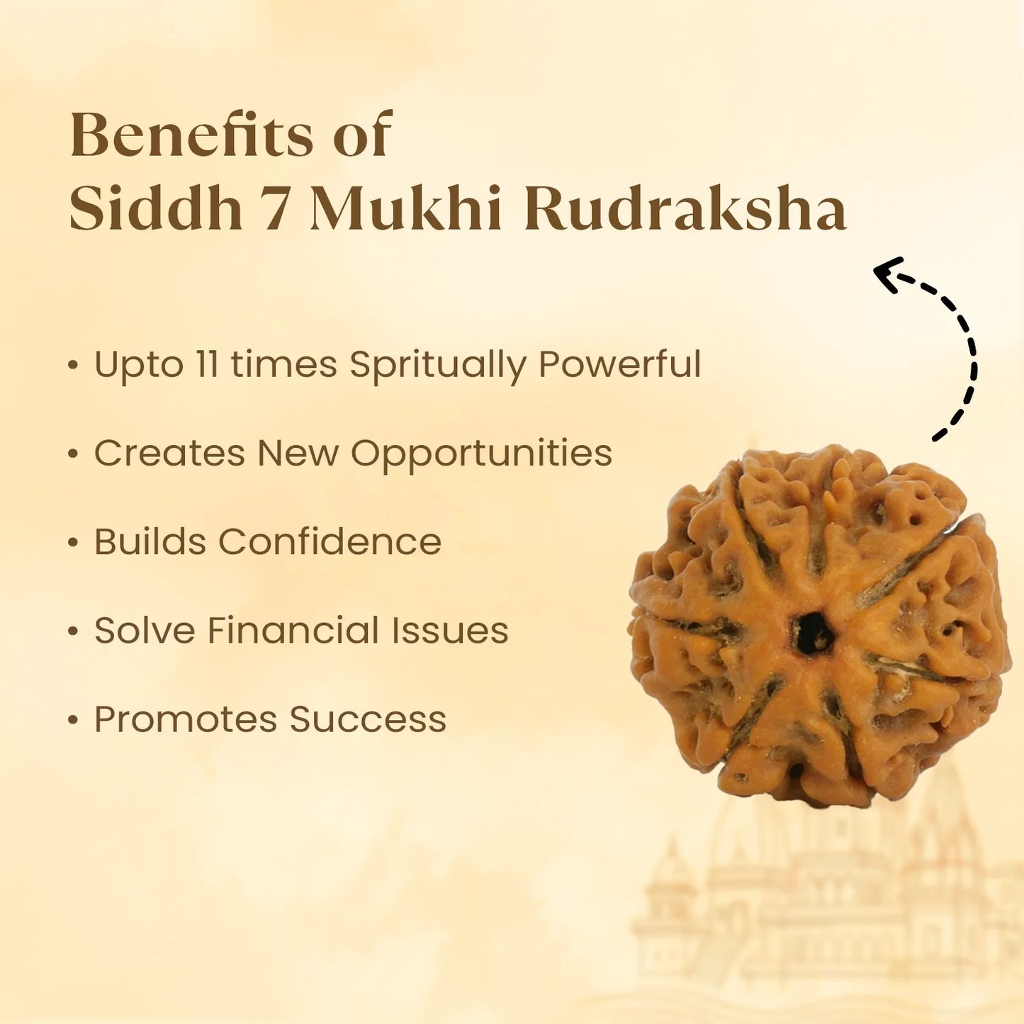 Kashi Siddh Nepal Origin 7 Mukhi Rudraksha - 18mm - 22mm