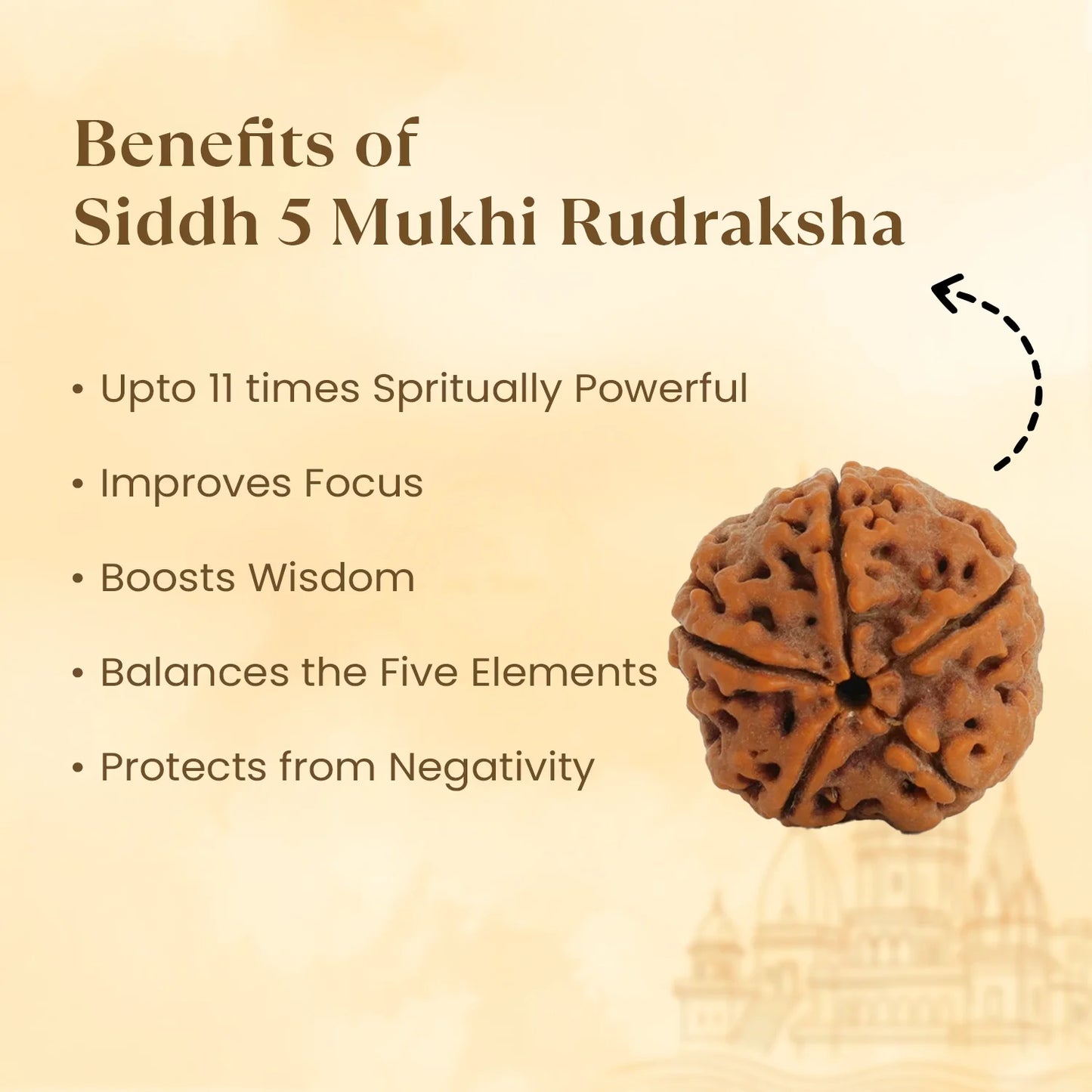 Kashi Siddh Nepal Origin 5 Mukhi Rudraksha - 18mm - 22mm