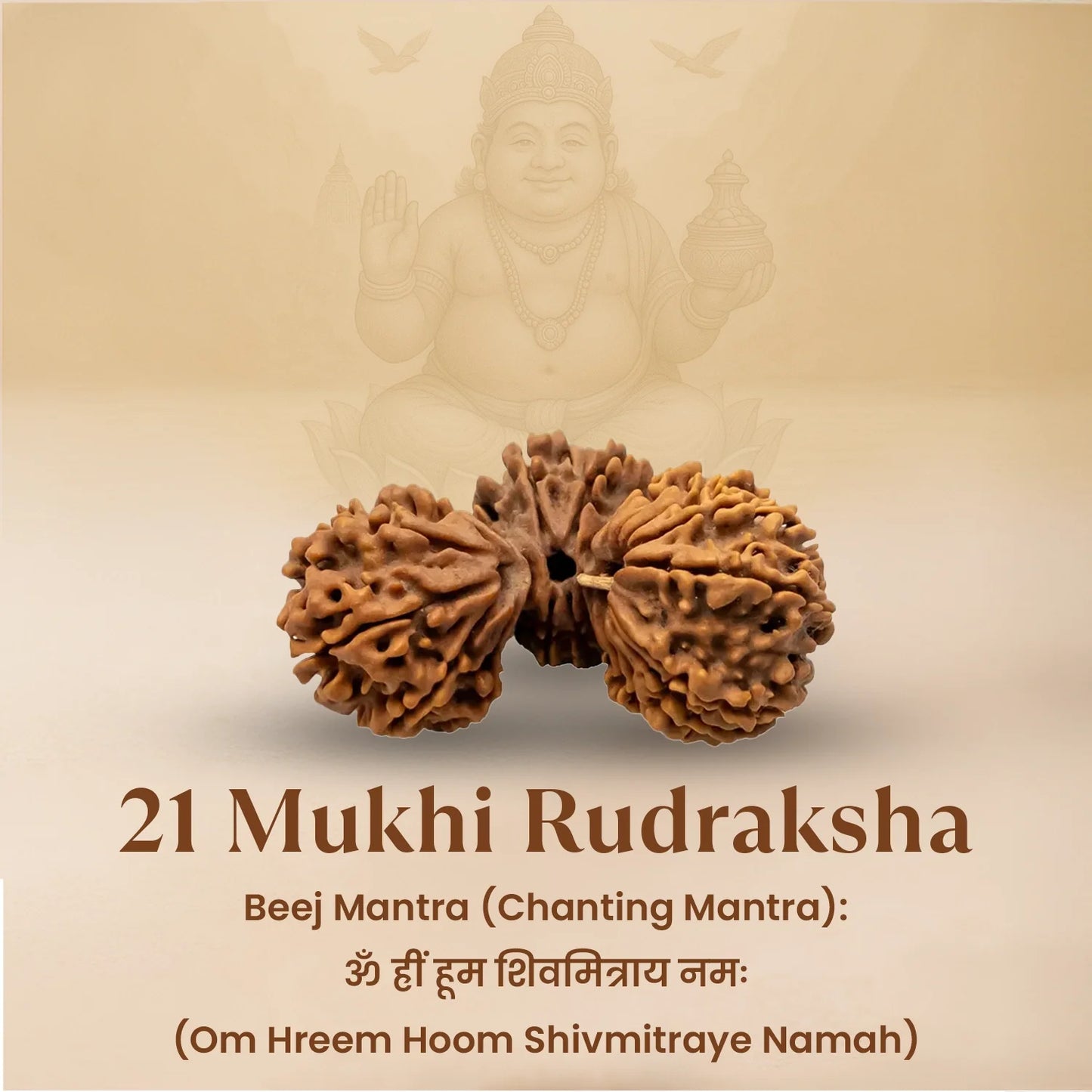 Nepal Origin 21 Mukhi Rudraksha - 18mm - 22mm