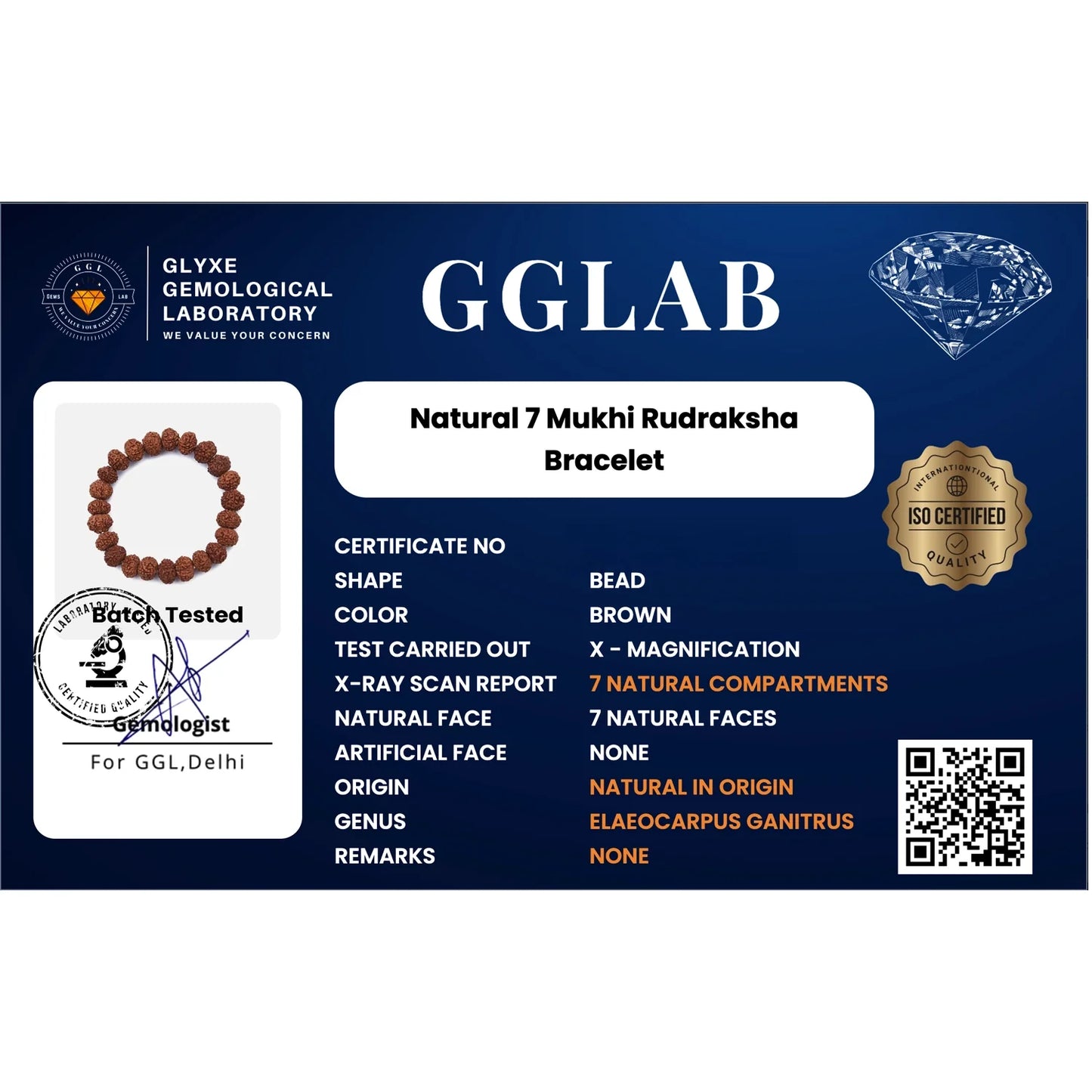 Kashi Siddh 7 Mukhi Rudraksha Bracelet