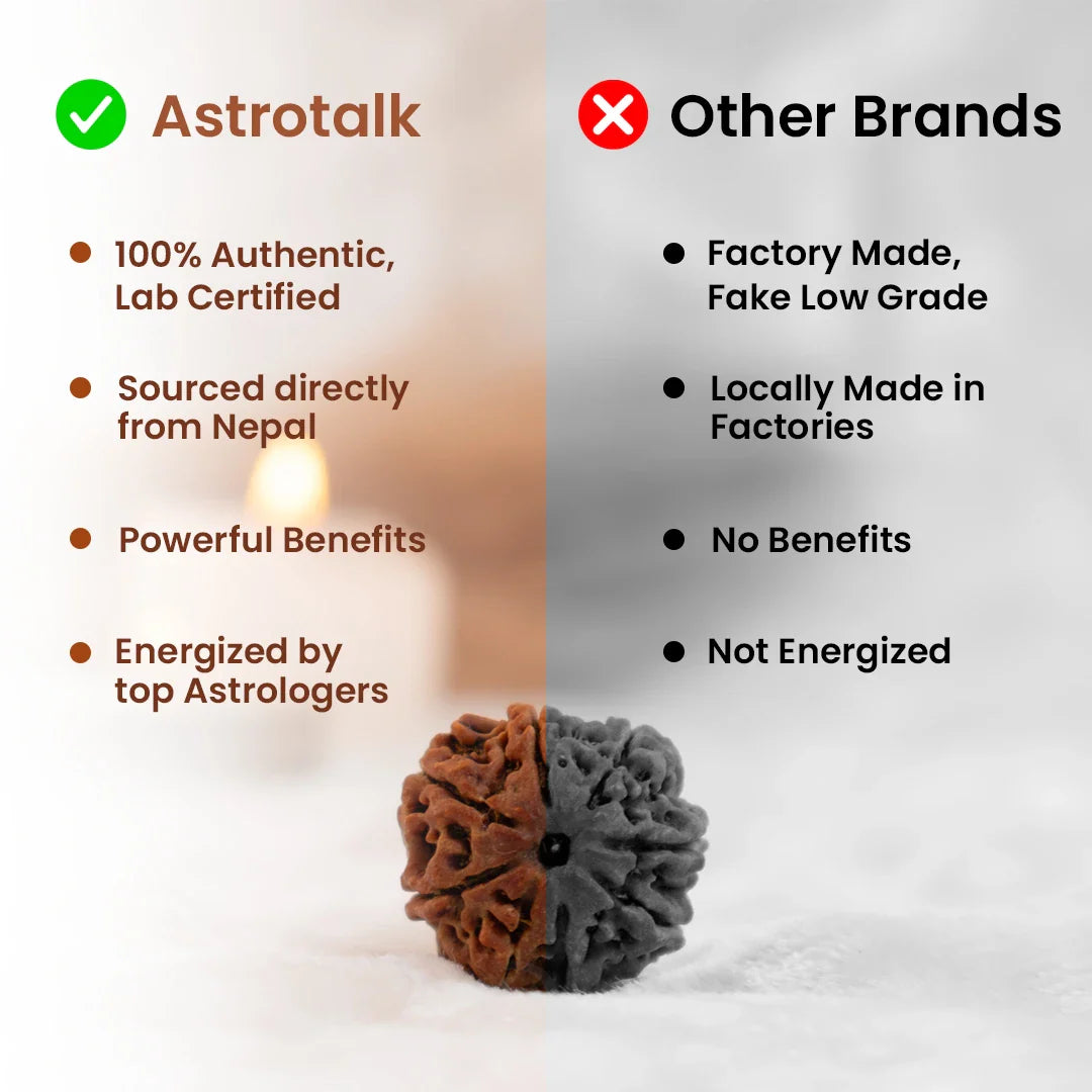 Nepal Origin 5 Mukhi Rudraksha Bead - Free Gift