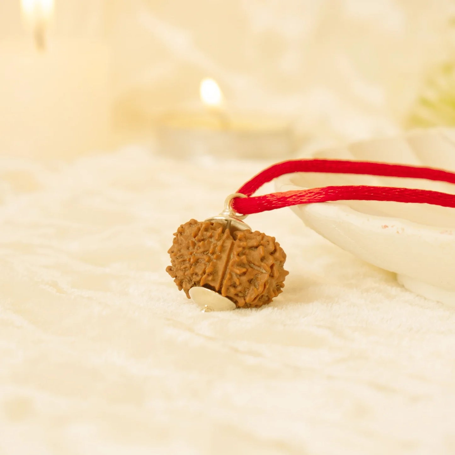 Kashi Siddh Nepal Origin 12 Mukhi Rudraksha - 18mm - 22mm