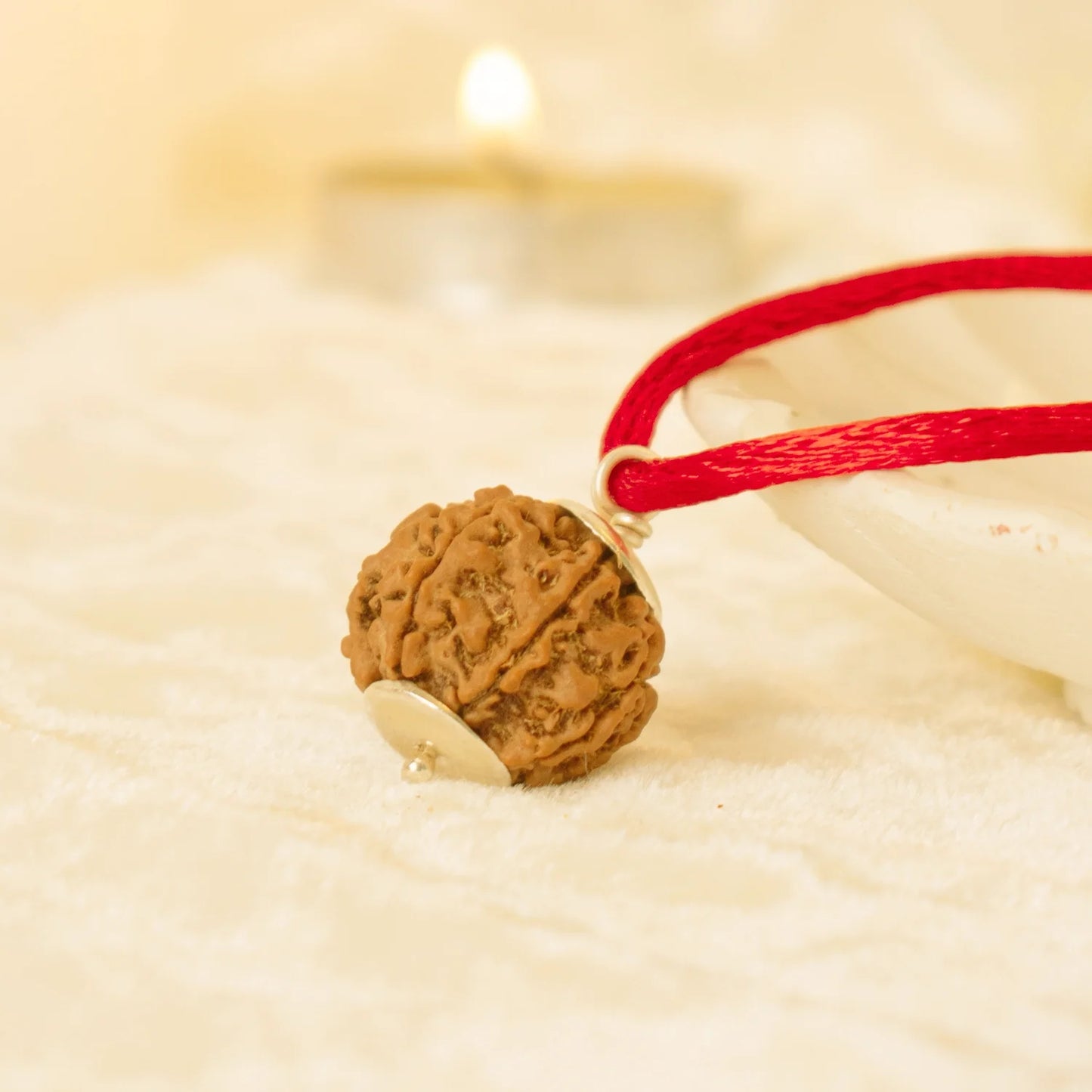 Kashi Siddh Nepal Origin 6 Mukhi Rudraksha - 18mm - 22mm