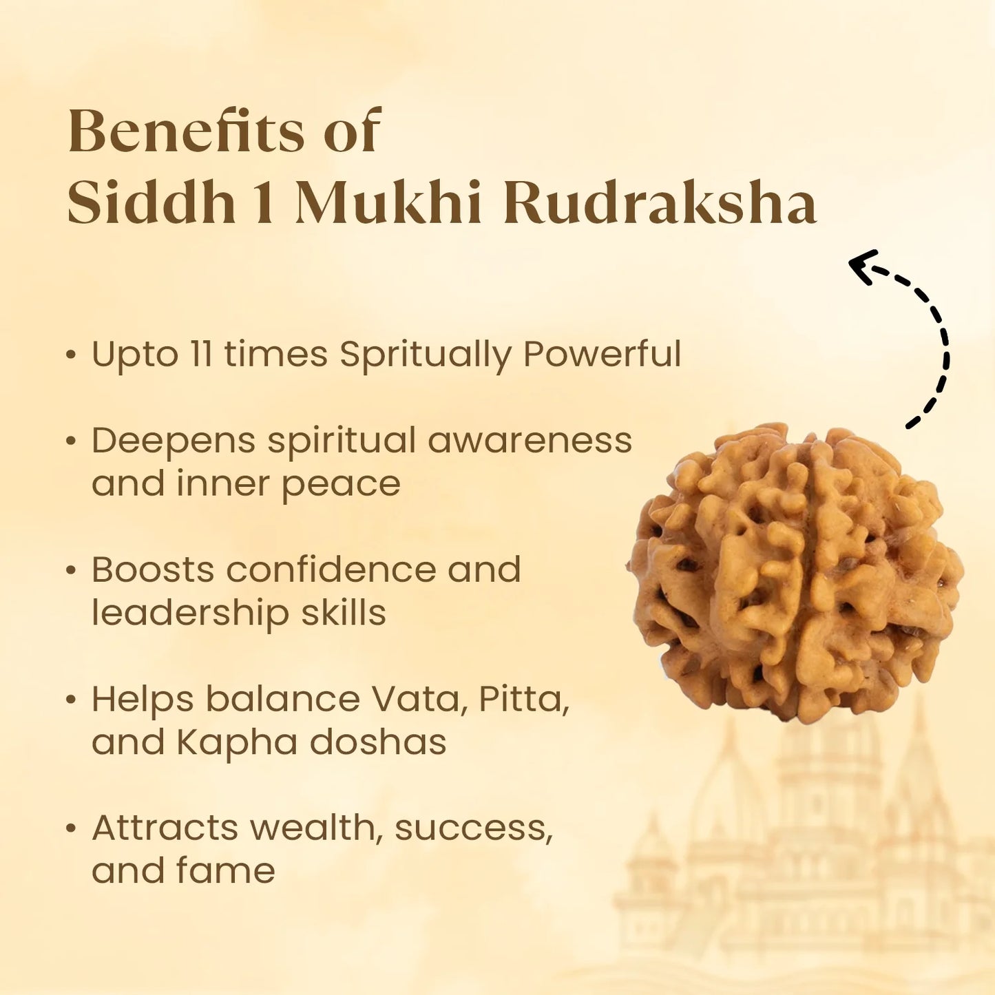 Kashi Siddh Nepal Origin 1 Mukhi Rudraksha -  18mm - 22mm