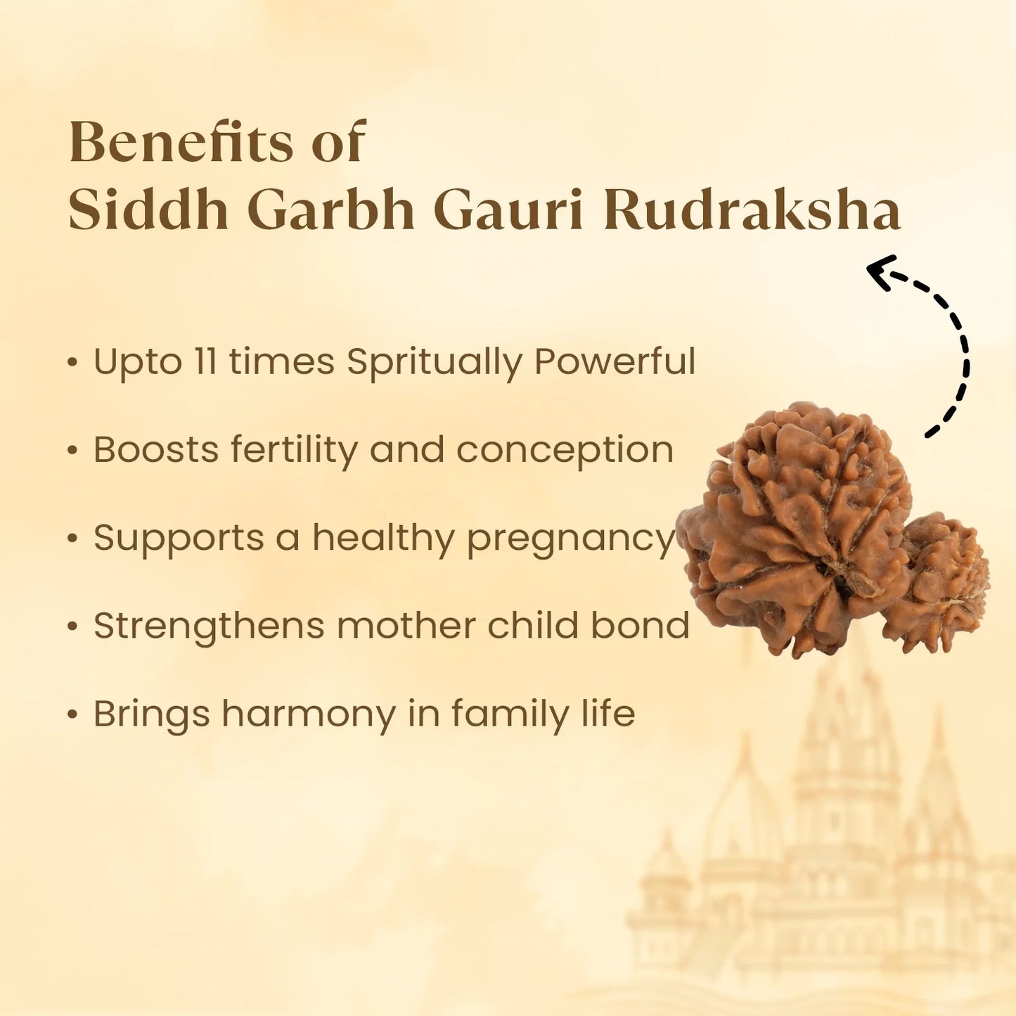 Kashi Siddh Nepal Origin Garbh Gauri Rudraksha - 18mm - 22mm