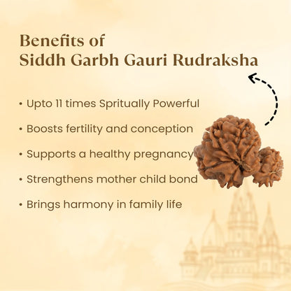Kashi Siddh Nepal Origin Garbh Gauri Rudraksha - 18mm - 22mm