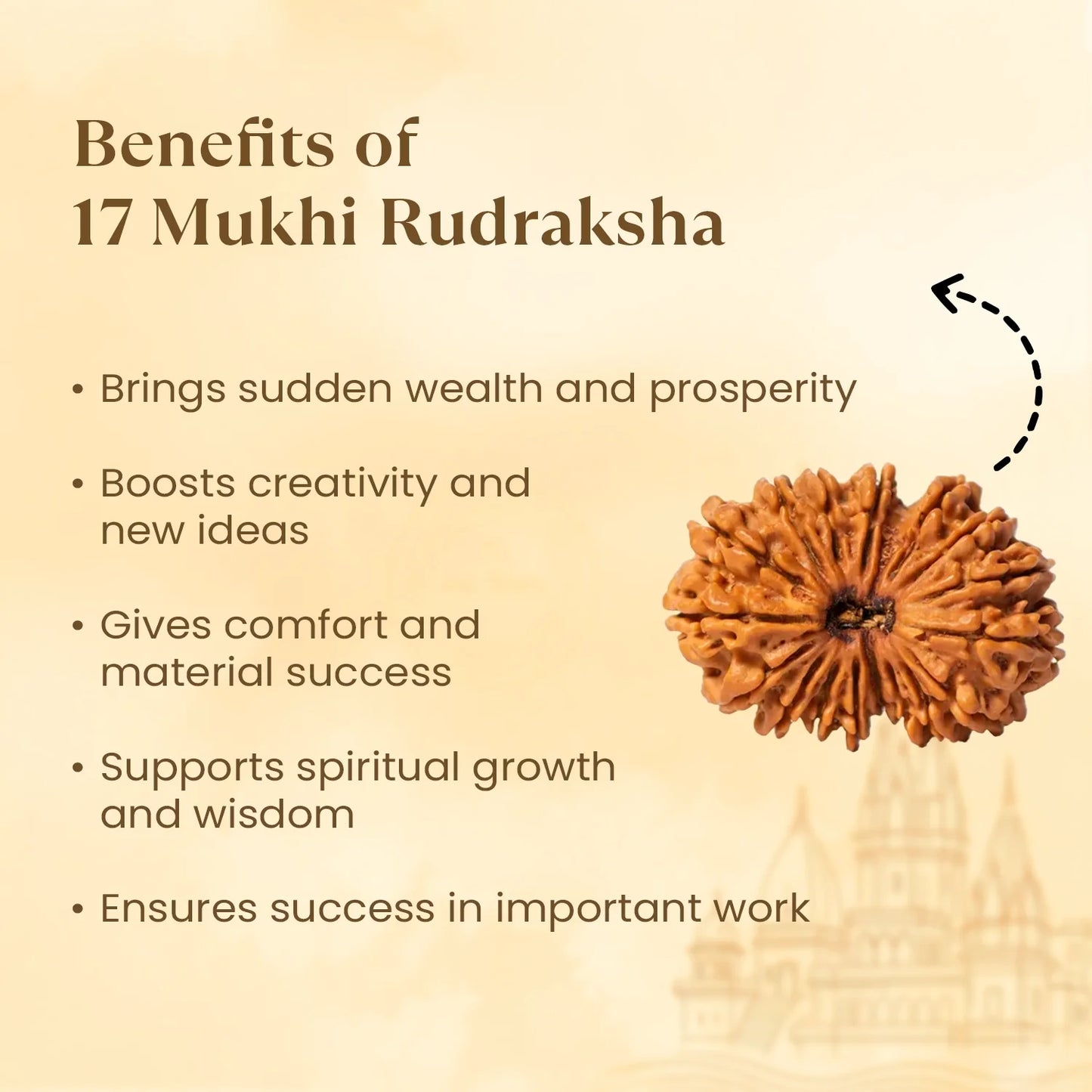 Nepal Origin 17 Mukhi Rudraksha - 18mm - 22mm