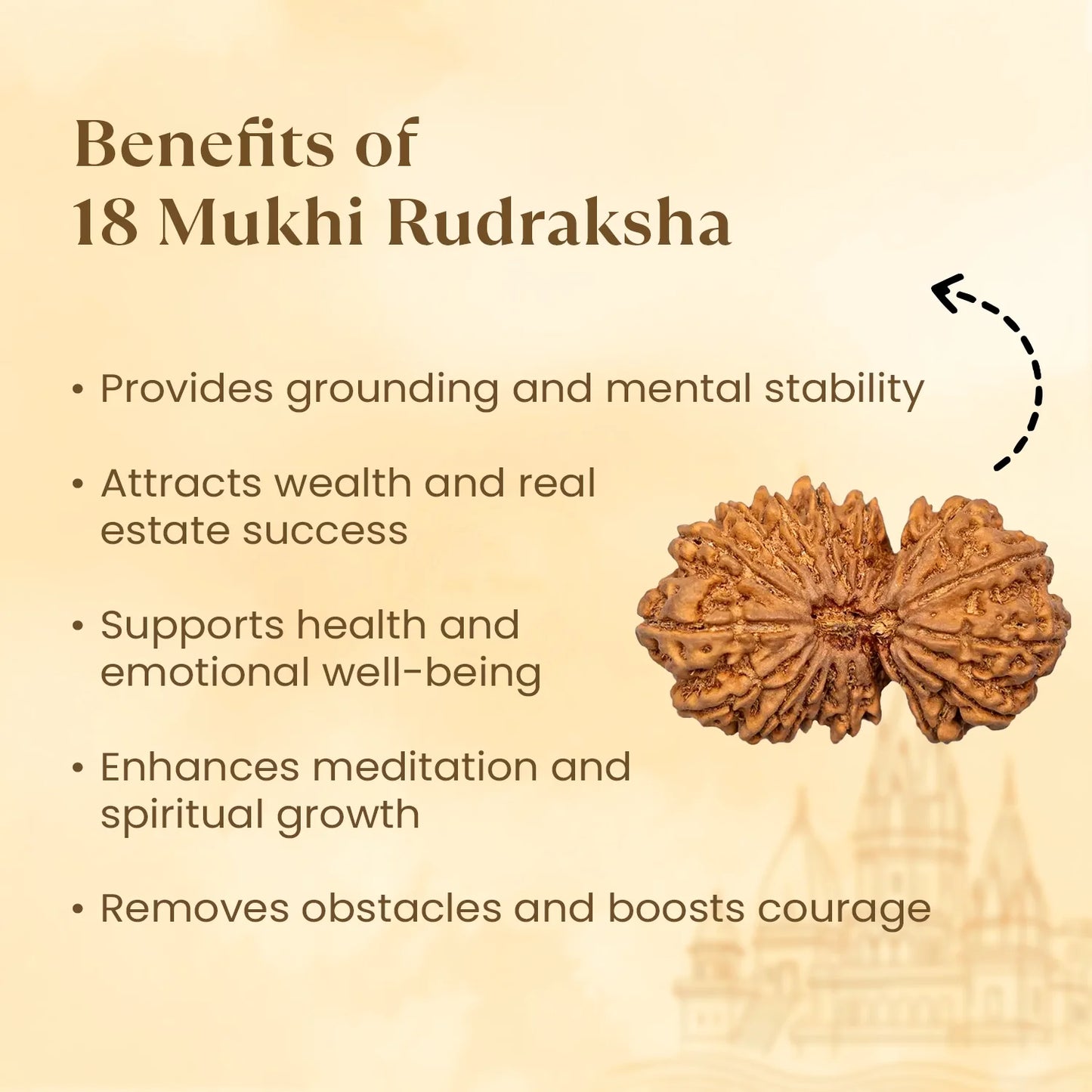 Nepal Origin 18 Mukhi Rudraksha - 18mm - 22mm