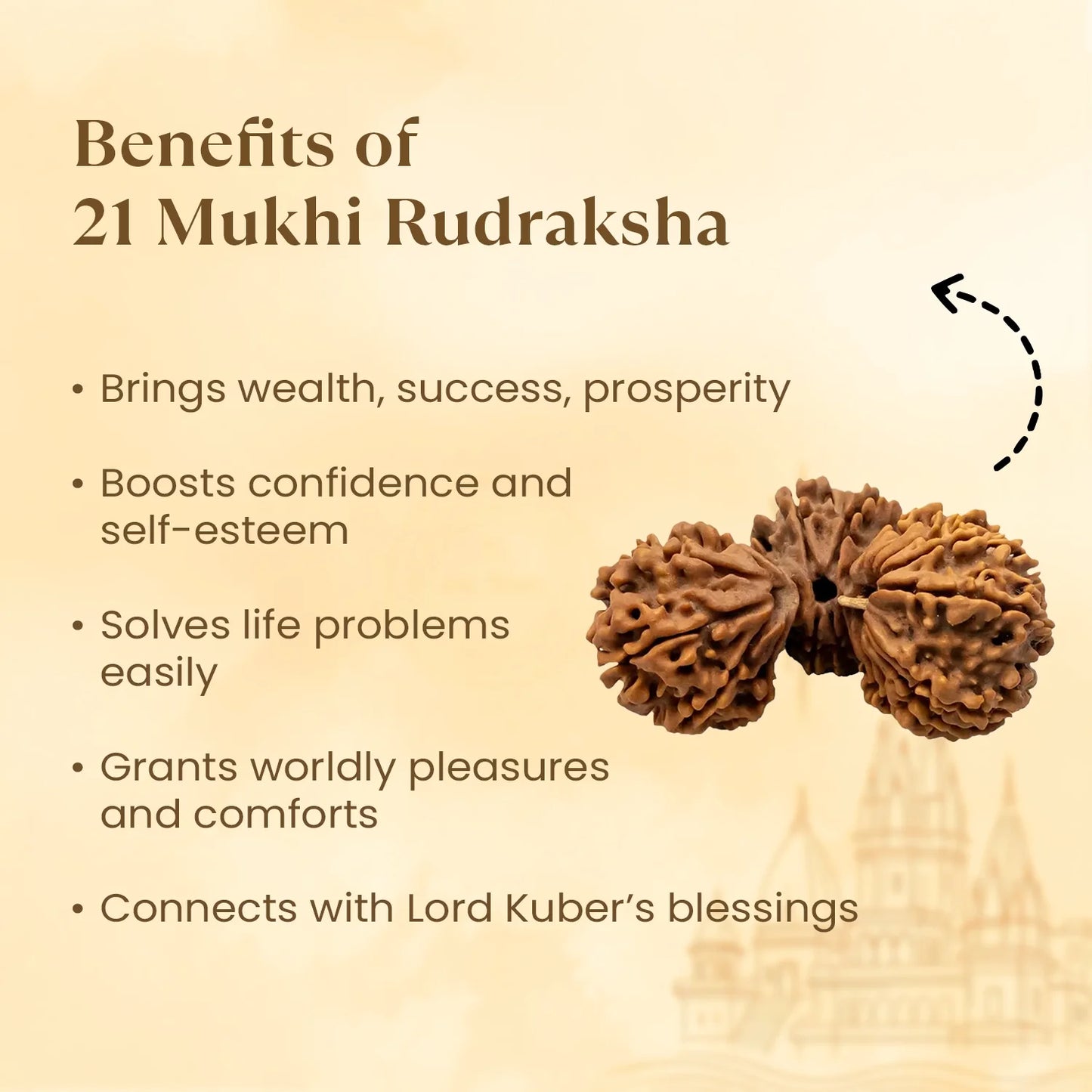 Nepal Origin 21 Mukhi Rudraksha - 18mm - 22mm