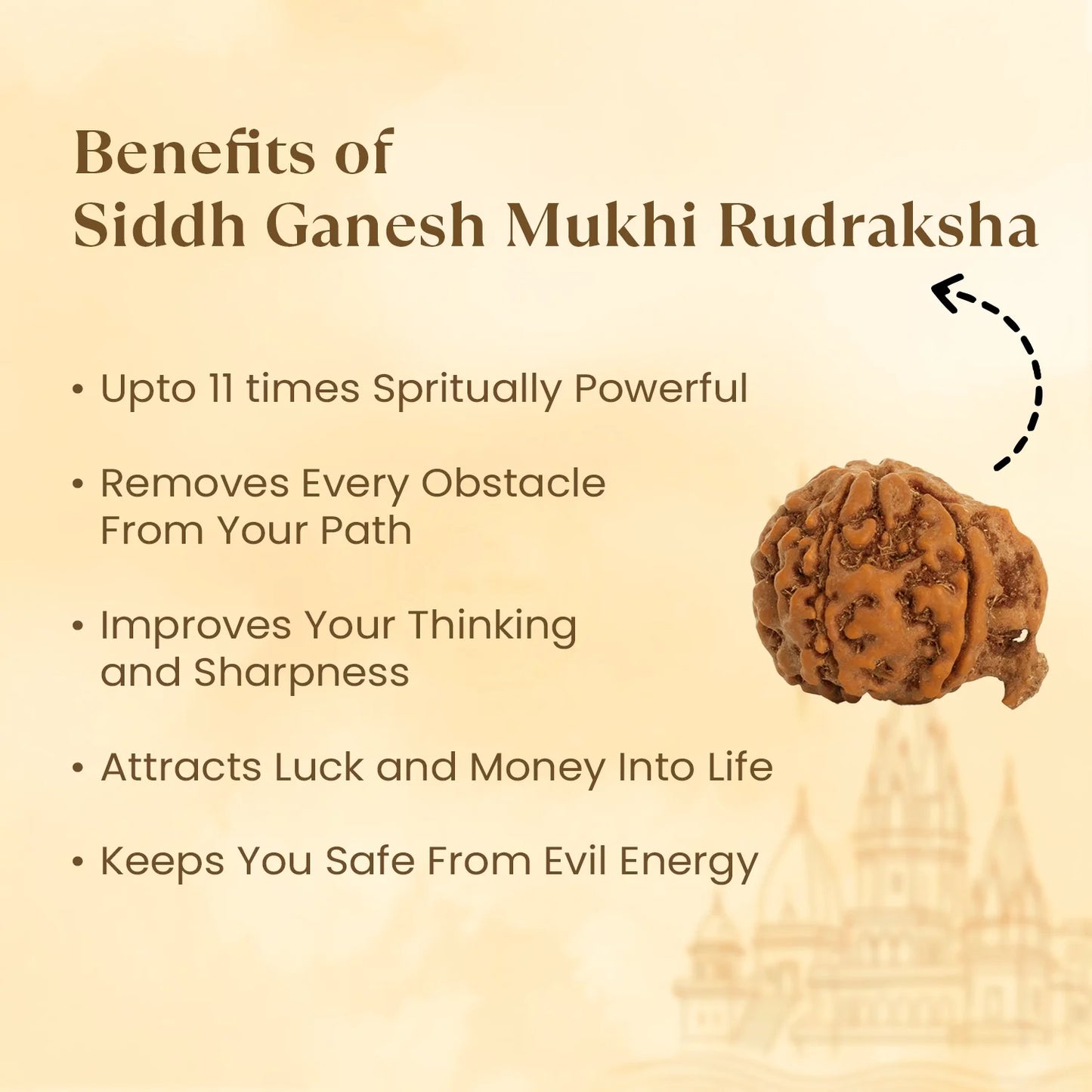 Kashi Siddh Nepal Origin Ganesh Mukhi Rudraksha -  18mm - 22mm