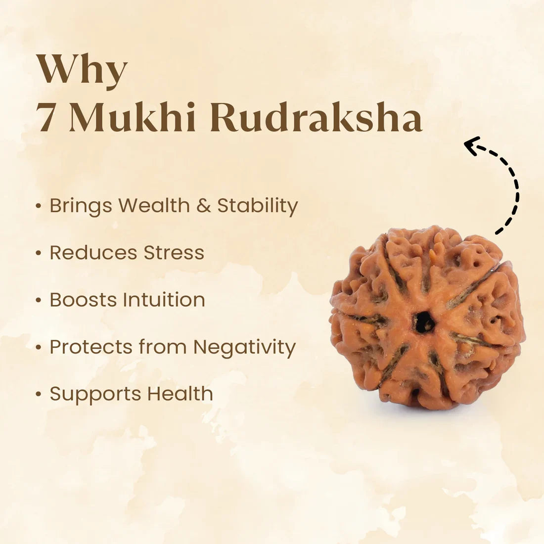 Pyrite Ganesh Ji Murti with 7 Mukhi Rudraksha