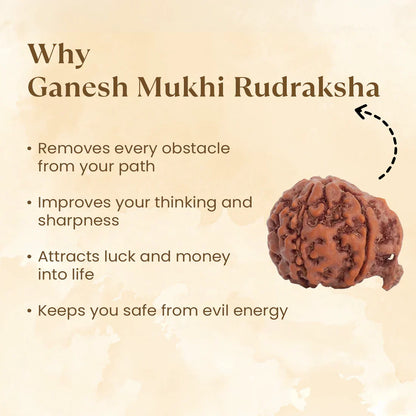 Pyrite Ganesh Ji Murti with Ganesh Mukhi Rudraksha