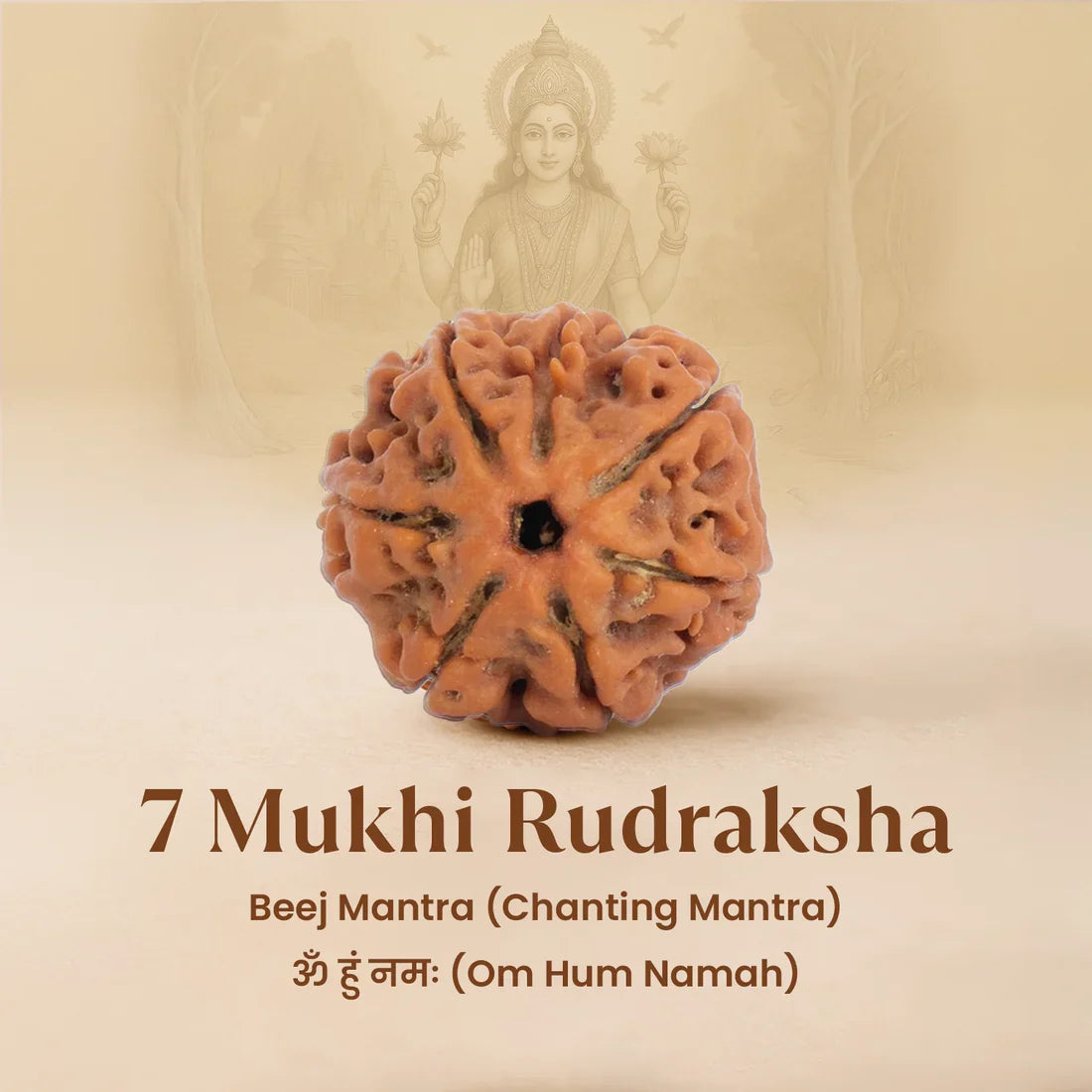 Pyrite Ganesh Ji Murti with 7 Mukhi Rudraksha