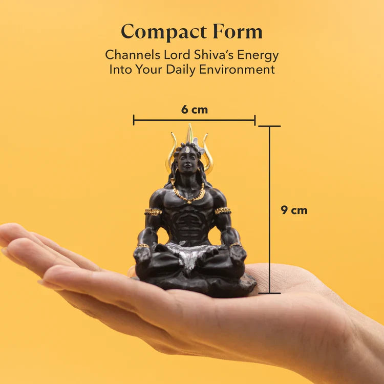 Kashi Siddh Shiv Shakti Combo with Murti and Kavach