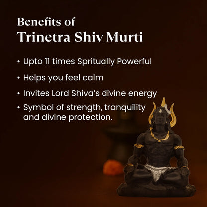 Kashi Siddh Shiv Shakti Combo with Murti and Kavach