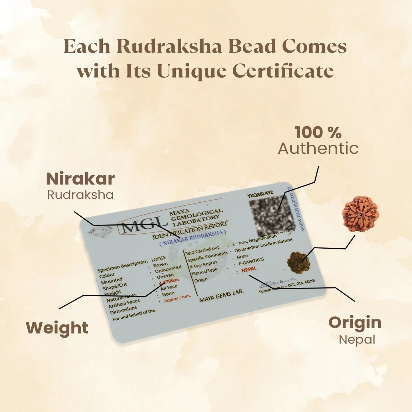 Kashi Siddh Nepal Origin Nirakar Rudraksha (0 Mukhi) -  18mm - 22mm