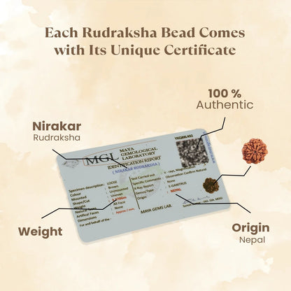 Kashi Siddh Nepal Origin Nirakar Rudraksha (0 Mukhi) -  18mm - 22mm
