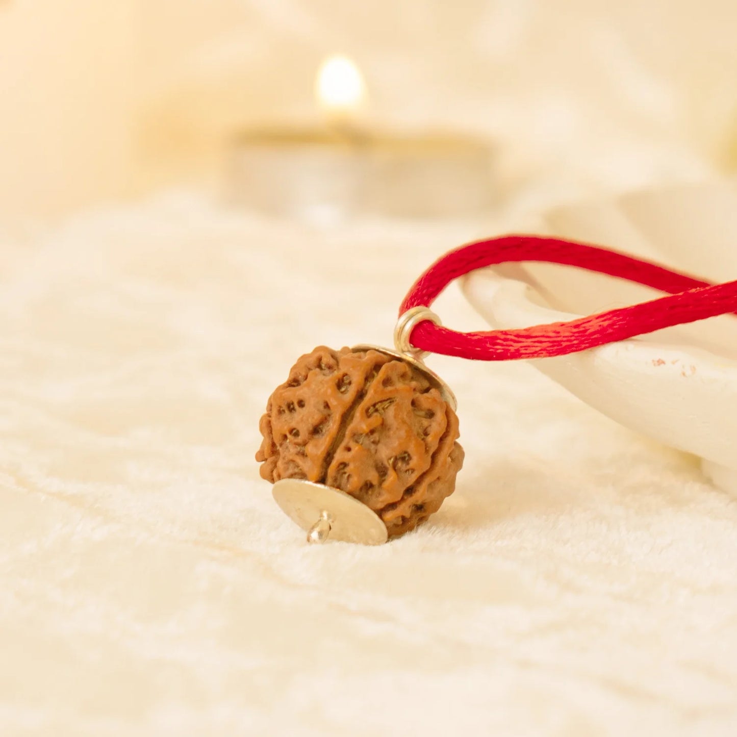 Kashi Siddh Nepal Origin 4 Mukhi Rudraksha -  18mm - 22mm