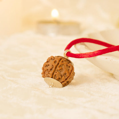Kashi Siddh Nepal Origin 4 Mukhi Rudraksha -  18mm - 22mm