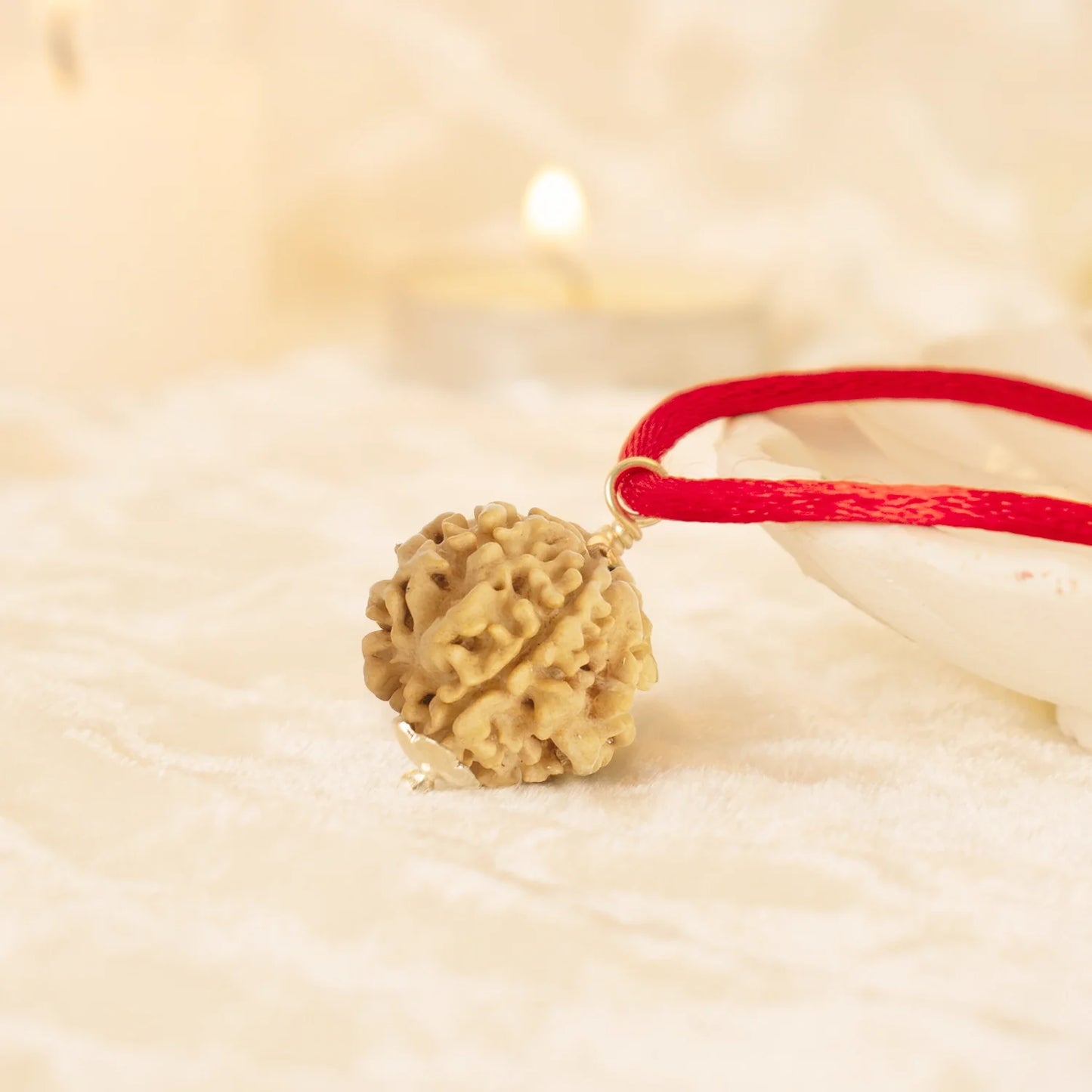 Kashi Siddh Nepal Origin 1 Mukhi Rudraksha -  18mm - 22mm