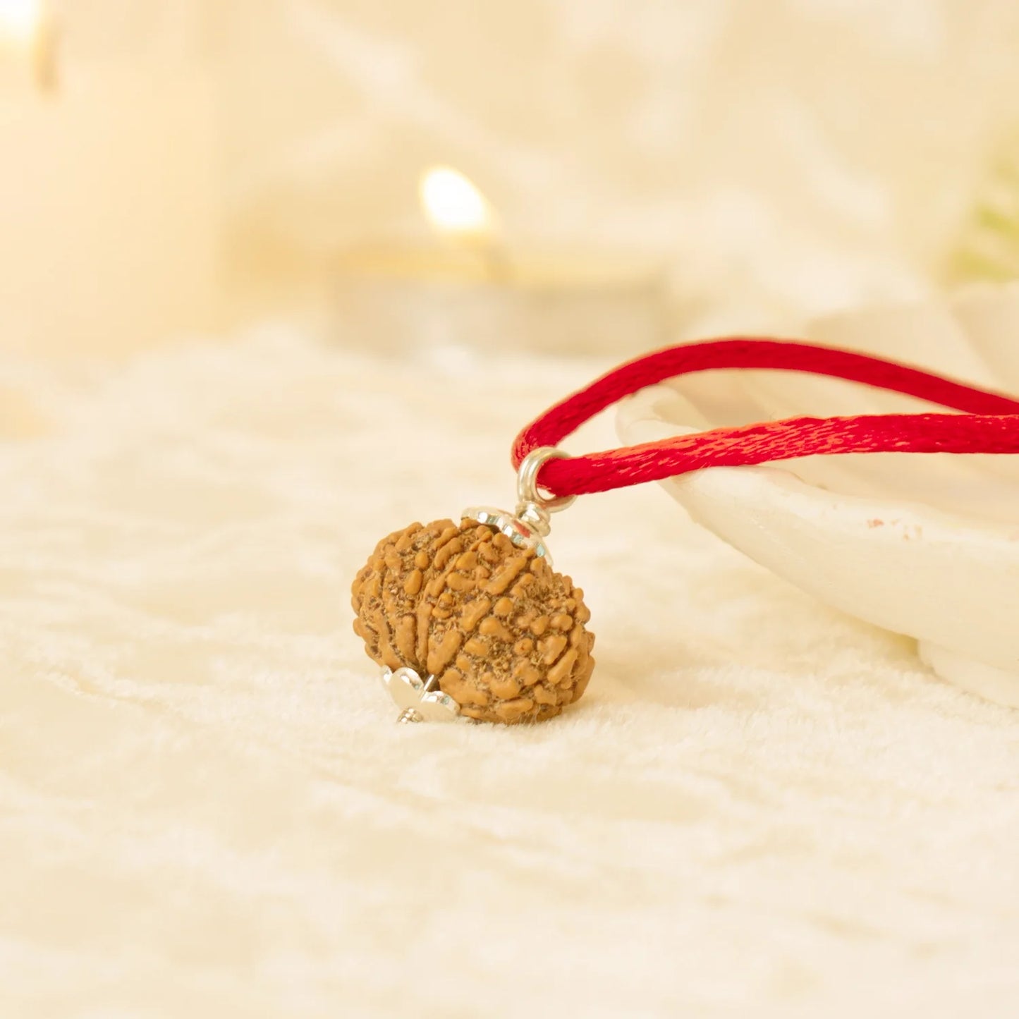 Kashi Siddh Nepal Origin 13 Mukhi Rudraksha -  18mm - 22mm